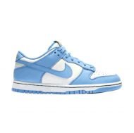 NIKE DUNK LOW COAST NIKE DUNK LOW COAST